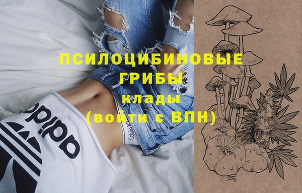 дурь Аркадак